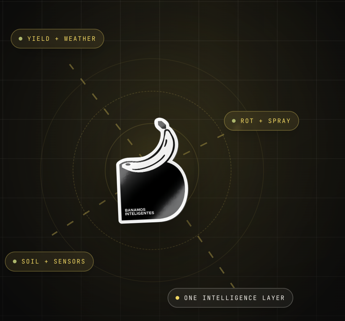 Bananos Inteligentes intelligence layer diagram