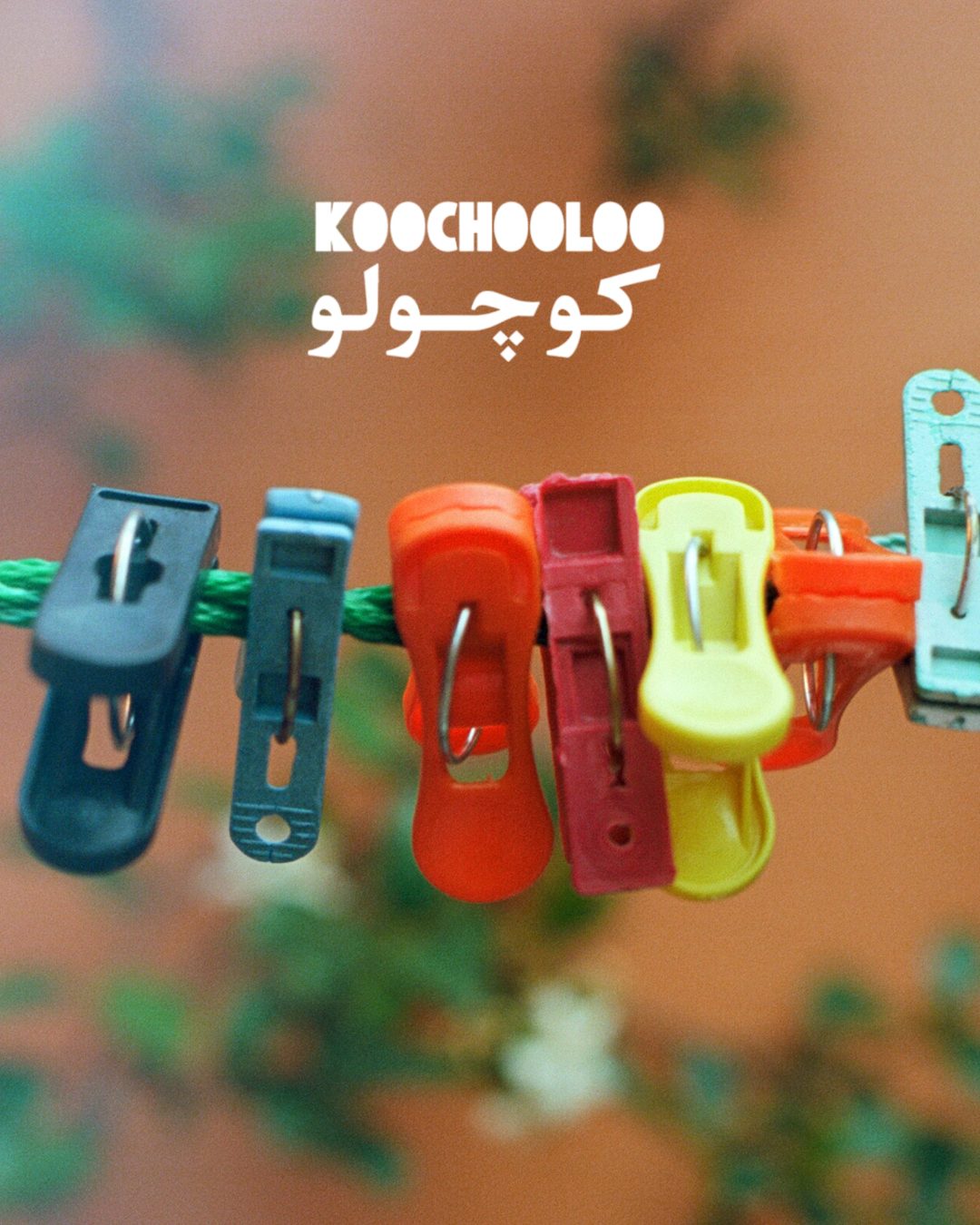 Koochooloo — colorful little clothespins clipped to a green line, MOW Impossible to Ignore